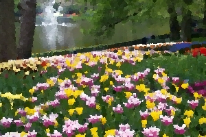 Keukenhof Gardens